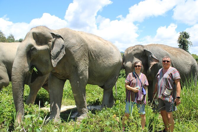 Chiang Mai Elephant Sanctuary Small Group Ethical Tour - Getting There: Pickup, Group Size, and Timing Options