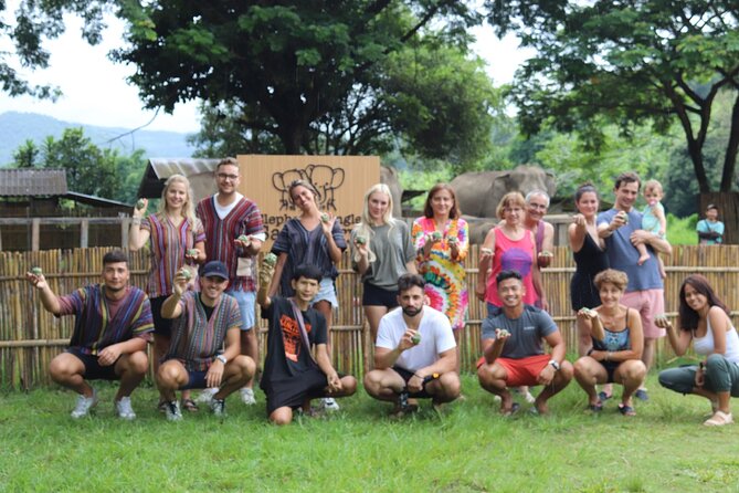 Chiang Mai Elephant Sanctuary Small Group Ethical Tour - Price and Value: What $90 Really Buys