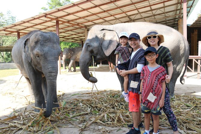 Chiang Mai Elephant Sanctuary Small Group Ethical Tour - Who This Tour Is Best For (And Who Might Want Another Option)