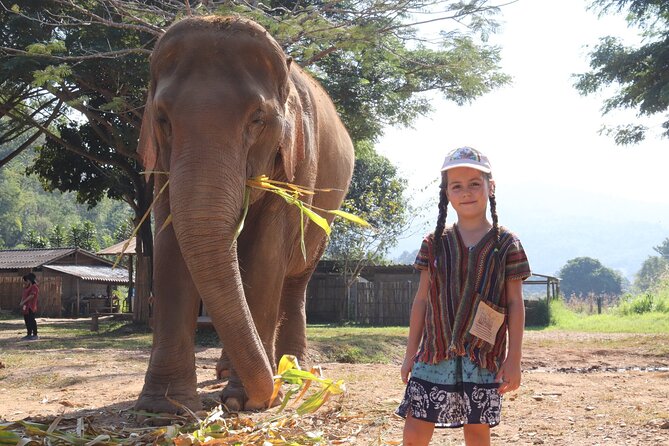 Chiang Mai Elephant Sanctuary Small Group Ethical Tour - Should You Book This Chiang Mai Elephant Sanctuary Tour?
