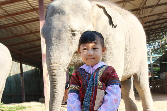 Chiang Mai Elephant Sanctuary Small Group Ethical Tour - Mae Taeng and the Rainforest Views at Elephant Jungle Sanctuary