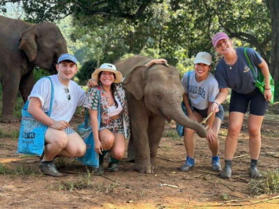 Chiang Mai: Elephant Sanctuary, Waterfall & Bamboo Rafting - Pon Elephant Thailand: an elephant-first sanctuary day