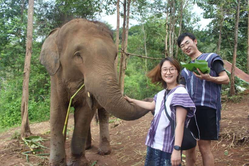 CHIANG MAI ELEPHANT VILLAGE SANCTUARY JUNGLE ADVENTURE - Why This Chiang Mai Elephant Village Feels Different Than Usual Tours
