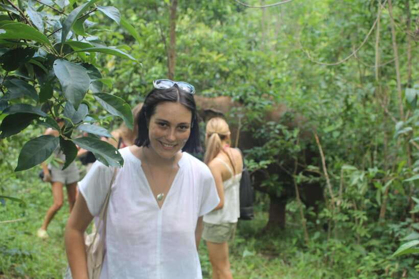 CHIANG MAI ELEPHANT VILLAGE SANCTUARY JUNGLE ADVENTURE - Cooling Off: Waterfall Trek, Pool Swim, and River Elephant Moments