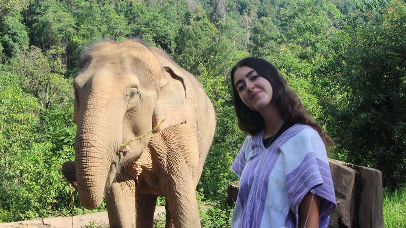 CHIANG MAI ELEPHANT VILLAGE SANCTUARY JUNGLE ADVENTURE - Price and Value: What $48 Really Buys for 6 Hours