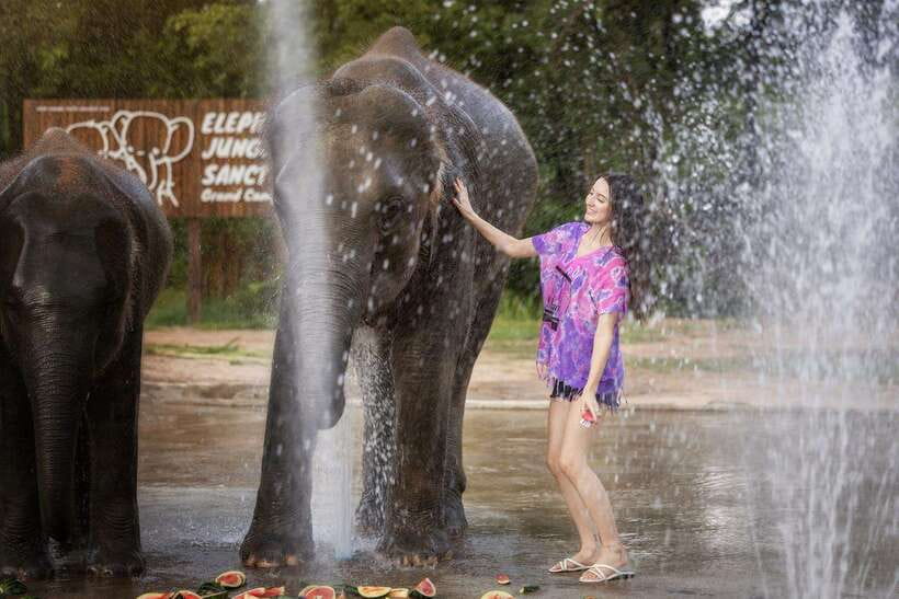 Chiang Mai: Ethical Elephant Feeding & Shower Program - Key highlights at a glance