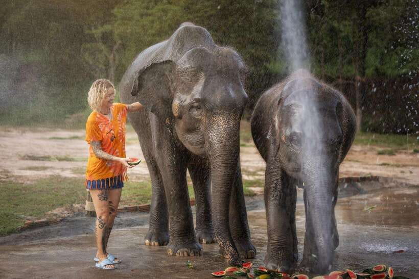 Chiang Mai: Ethical Elephant Feeding & Shower Program - The rain shower moment: when elephants cool down, you cool down too