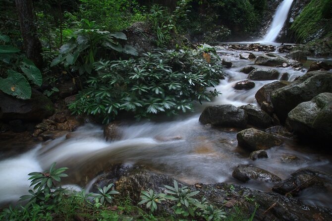 Chiang Mai Exotic Excursion Unseen Miracle of Faith To Pupadang Lampang Temple - Pickup, Group Size, and Packing Tips for Steps and Waterfalls