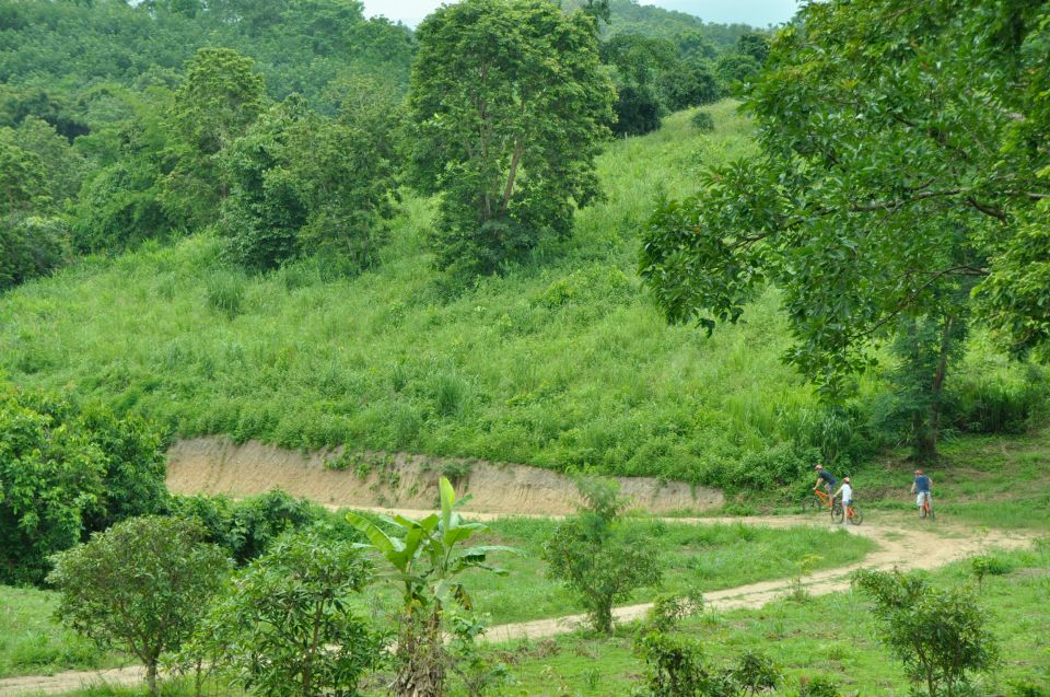 Chiang Mai Fields of Gold Cycling Tour - Lanna villages and rural life beyond the “photo stops”