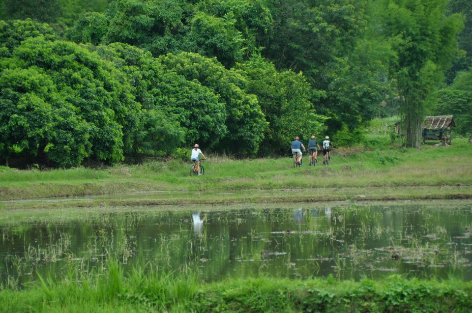 Chiang Mai Fields of Gold Cycling Tour - Paved road and dirt double track: how the ride actually feels