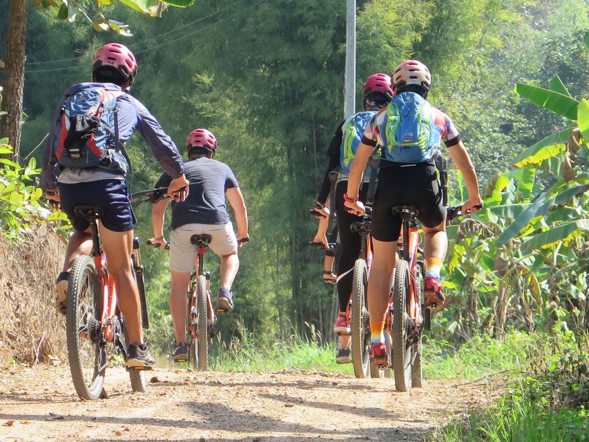 Chiang Mai Fields of Gold Cycling Tour - National park entry and the scenery timing that makes it special