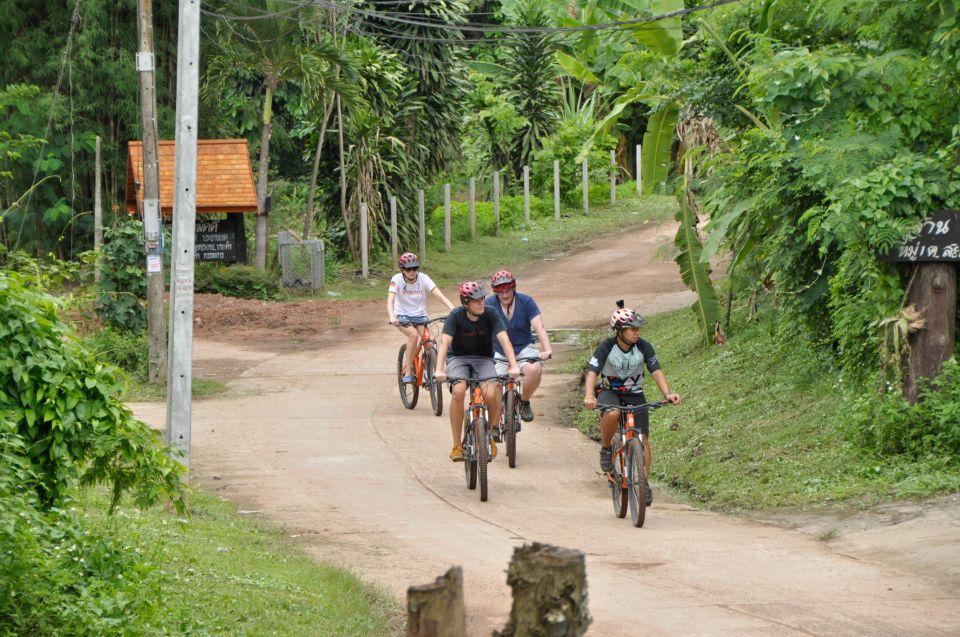 Chiang Mai Fields of Gold Cycling Tour - Value for $64: what’s included and why it’s not just a cheap ride