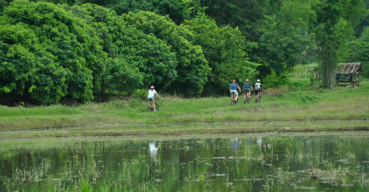 Chiang Mai Fields of Gold Cycling Tour - Premium bike gear and the “Kom” factor for a smoother day
