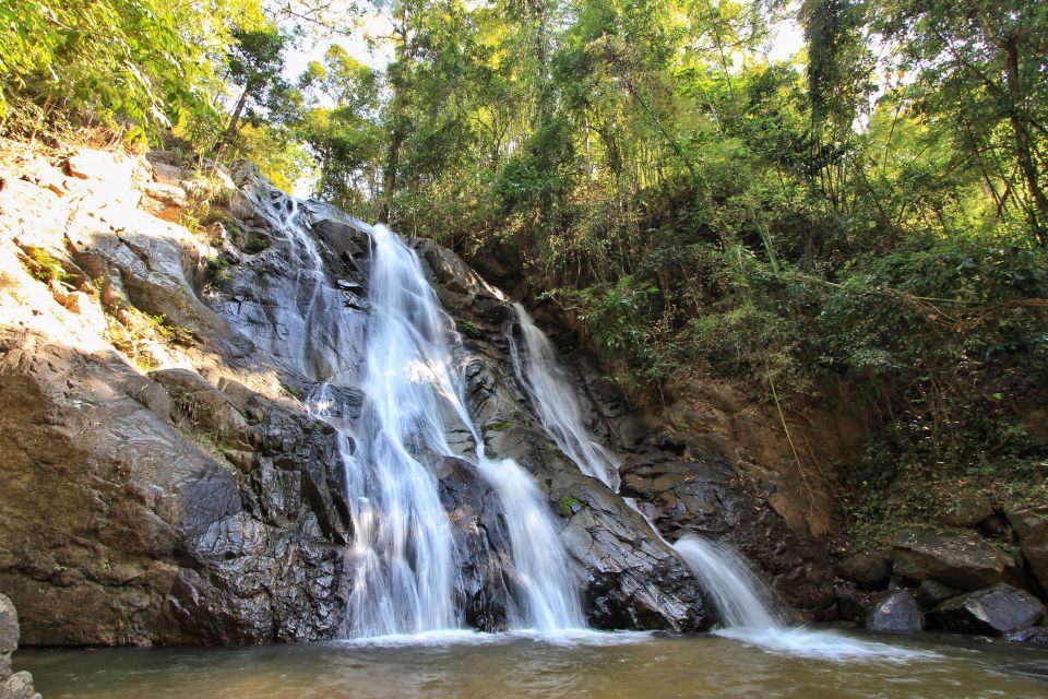 Chiang Mai: Guided Jungle and Waterfall Trek with Transfer - The Jungle Trek: Guided, Gentle, and Packed with Stops