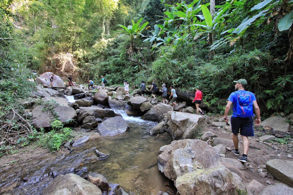 Chiang Mai: Guided Jungle and Waterfall Trek with Transfer - Lunch in the Outdoors: Where the Day Becomes Relaxed