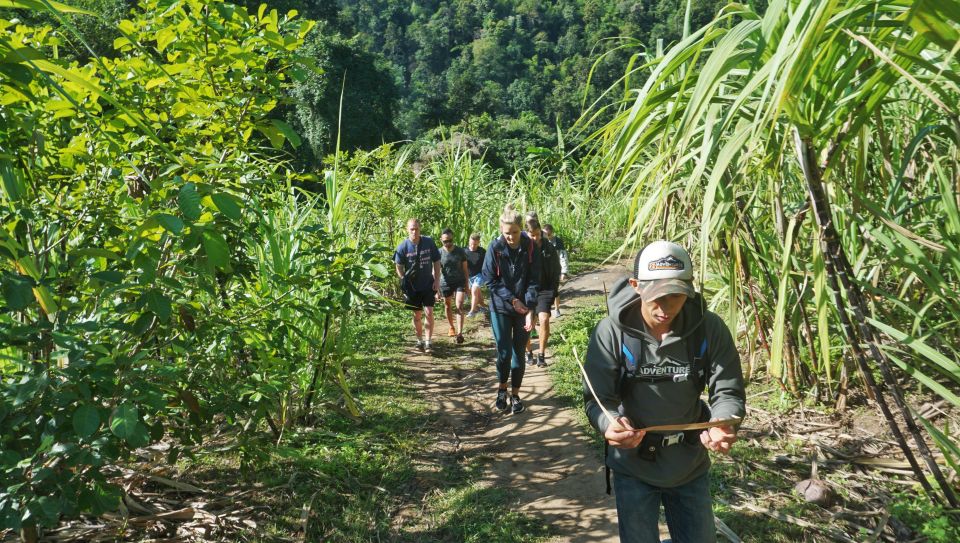 Chiang Mai: Guided Jungle and Waterfall Trek with Transfer - Rain, Mud, and Sun: What to Pack So You’re Comfortable