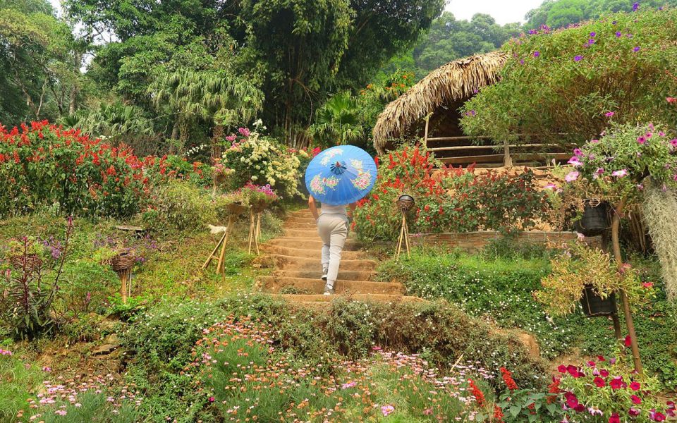 Chiang Mai: Half day Doi Suthep and Meo Village - Key highlights you’ll feel right away