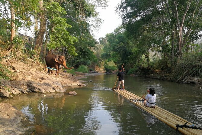 Chiang Mai Half Day Tour: Doi Inthanon Elephant Sanctuary - Value check: is $55.24 worth it for what you get?