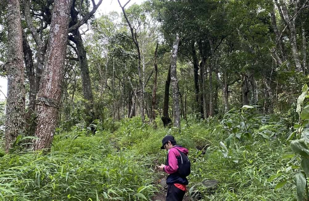 Chiang Mai: Hmong Village, Doi Suthep and Wat Pha Lat Trek - Getting from your hotel to the trails (and why it matters)