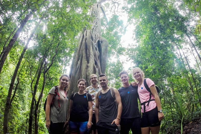 Chiang Mai: Inthanon, Elephant Sanctuary Observation & Waterfall - Logistics: the driving day, group size, and mobile ticket