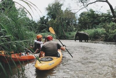 Chiang Mai: Jungle Kayak Adventure with Rapids & Elephants - Upper Mae Wang: Class I and II rapids for learning your rhythm