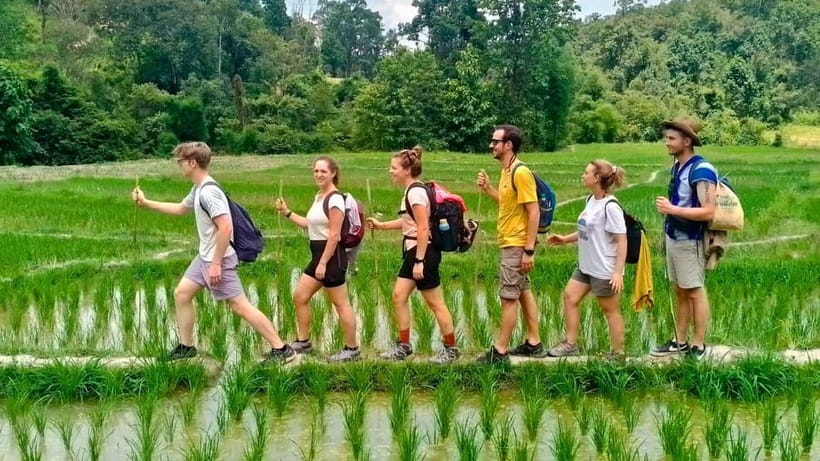 Chiang Mai: Jungle Trek, Elephants care & Bamboo Rafting - Bamboo Rafting on a Jungle River: The Activity Worth Planning Around