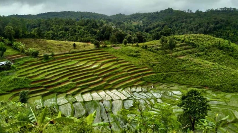 Chiang Mai: Jungle Trek, Elephants care & Bamboo Rafting - Waterfall Time and the Swim Rule You Need to Know
