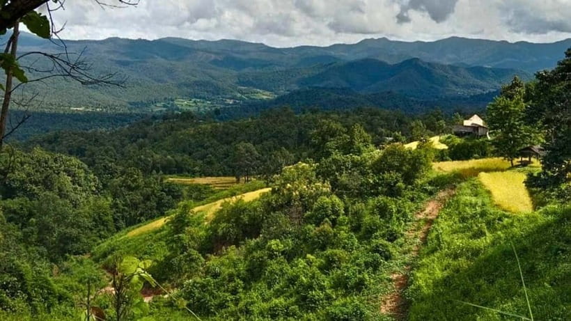 Chiang Mai: Jungle Trek, Elephants care & Bamboo Rafting - Gear Checklist That Keeps You Comfortable (and Not Miserable)