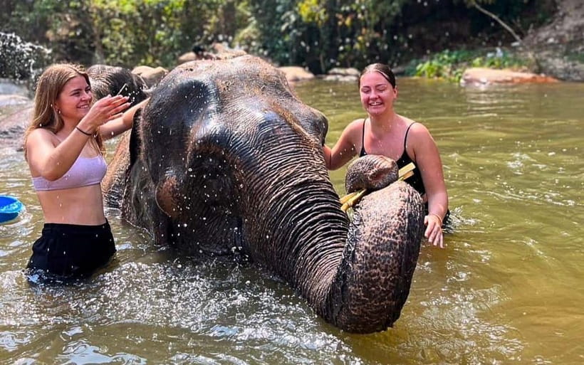 Chiang Mai: Jungle Trek, Elephants care & Bamboo Rafting - The Local Market Stop: A Small Break That Helps the Whole Day