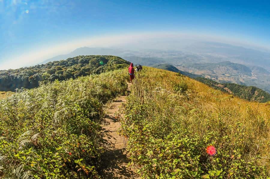 Chiang Mai: Kew Mae Pan Nature Trail & Doi Inthanon Day Trip - Kew Mae Pan Nature Trail: A Guided Forest Walk That Actually Feels Like Forest