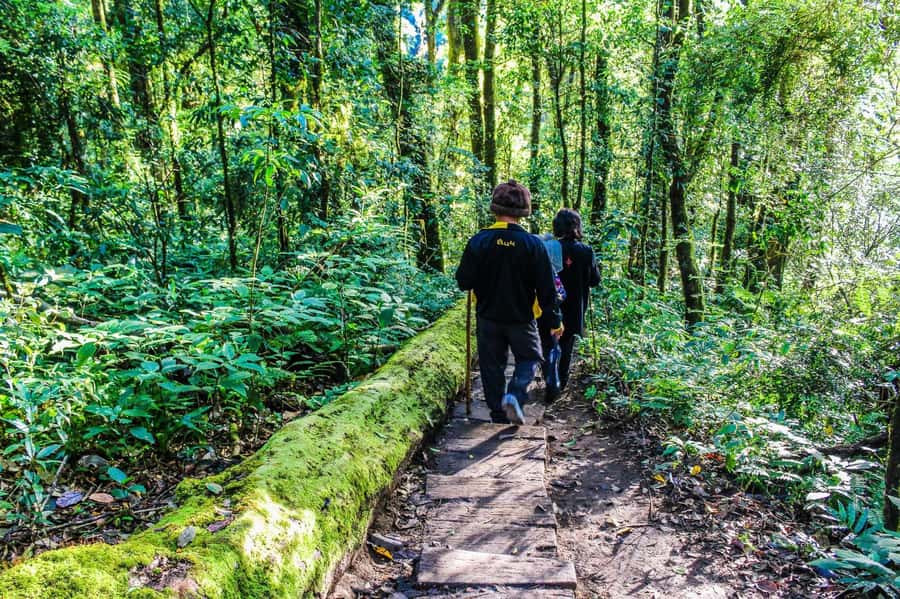 Chiang Mai: Kew Mae Pan Nature Trail & Doi Inthanon Day Trip - Price and Value: Does $54 Hold Up for a Full-Day Tour?