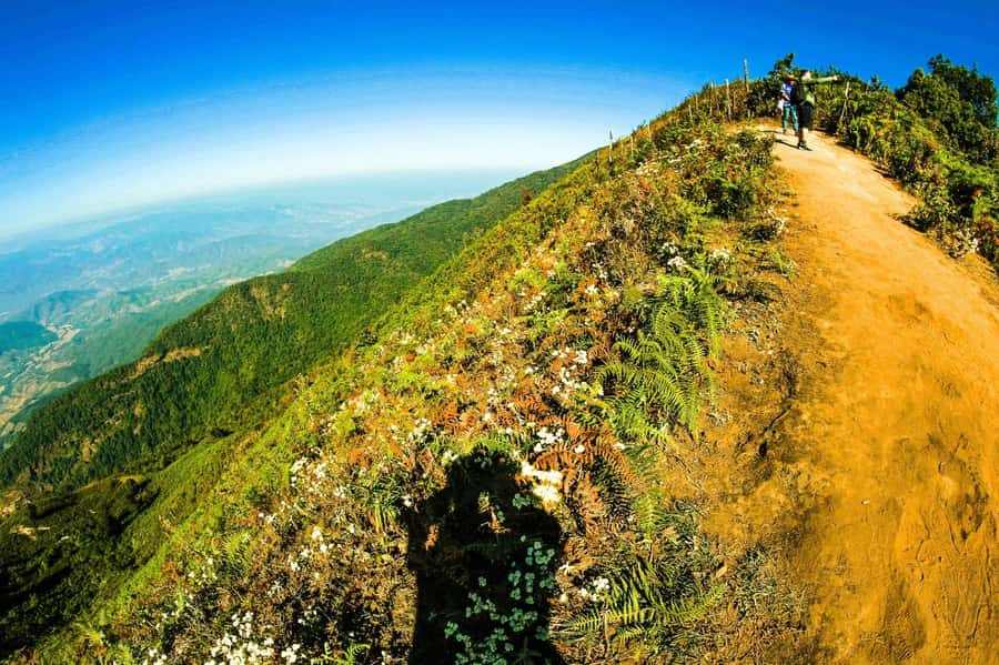 Chiang Mai: Kew Mae Pan Nature Trail & Doi Inthanon Day Trip - What to Bring (and What to Avoid) for Chiang Mai’s Mountain Day