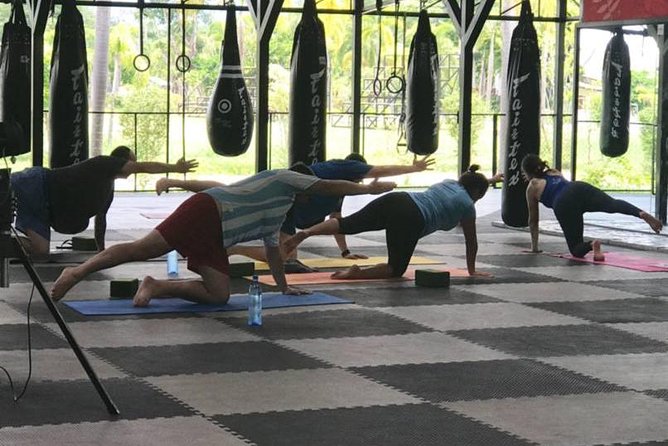 Chiang Mai Muay Thai Boxing Experience - The 5-hour flow: pickup, Muay Thai lesson, lunch, return