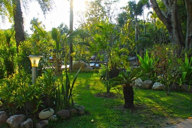 Chiang Mai Muay Thai Boxing Experience - Who this experience fits best in Chiang Mai
