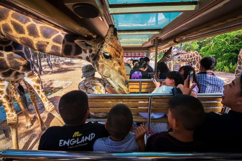Chiang Mai Night Safari Ticket & Tram Rides Optional Pickup - Tram Rides Through Savannah and Predator Zones: The Smart First Step
