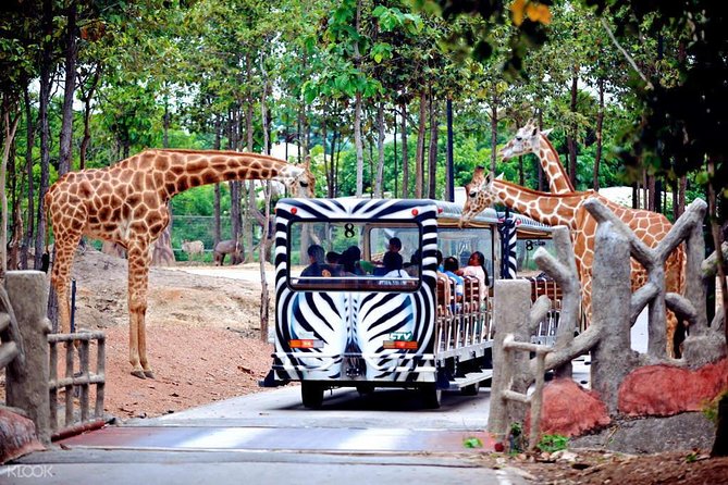 Chiang Mai Night Safari Tour including Transfer (Minimum 2 pax) - Chiang Mai Night Safari’s Background (and Why It’s Different)