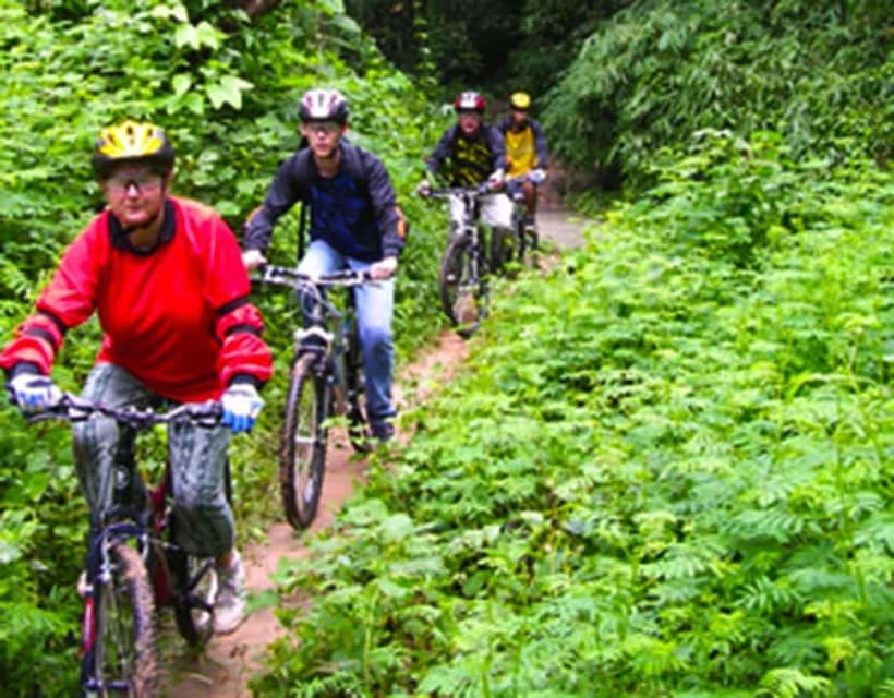 Chiang Mai: Rainforest Guided Mountain Biking Tour - Key things worth knowing