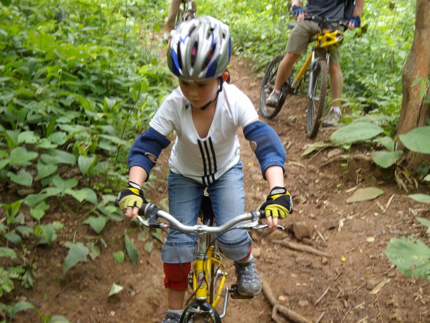Chiang Mai: Rainforest Guided Mountain Biking Tour - Should you book this Chiang Mai rainforest mountain biking tour?