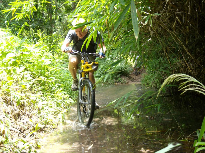 Chiang Mai: Rainforest Guided Mountain Biking Tour - Terrain reality: rainforest single track, rural roads, and truck support that changes everything
