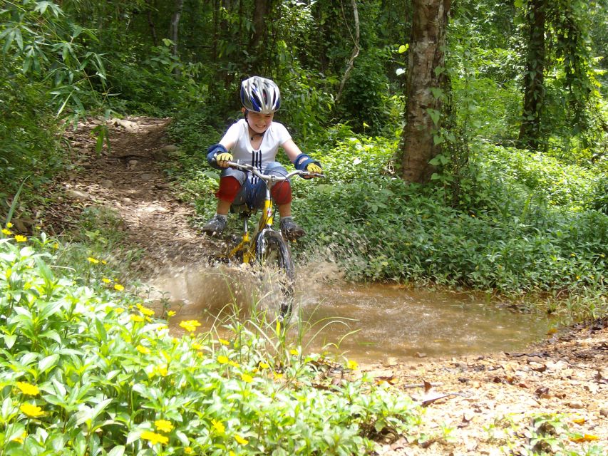 Chiang Mai: Rainforest Guided Mountain Biking Tour - Price and value: what $62 buys you in a Thai biking day