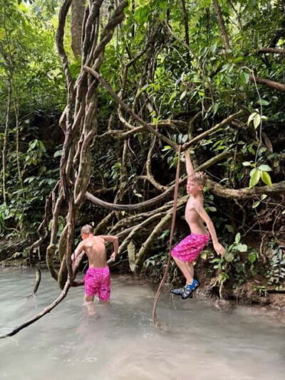 Chiang Mai Sticky Waterfall Adventure-Climb Like Spider-Man! - The 5-hour plan from Chiang Mai (morning and afternoon)