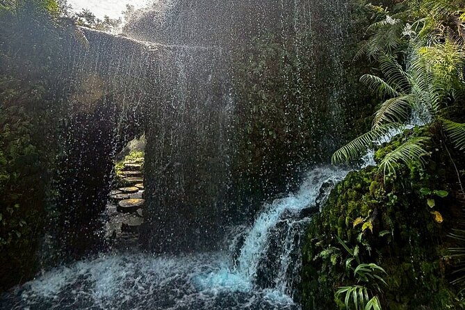 Chiang Mai Sticky Waterfall Dantewada and Banden Temple Tour - A relaxed 7-hour rhythm with a great guide and a small group