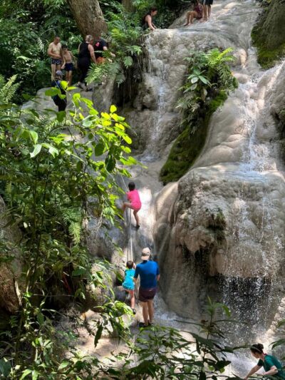 Chiang Mai : Sticky waterfall (Half Day Tour) Hotel Transfer - Hotel Transfer That Won’t Turn Your Day Into a Logistical Mess