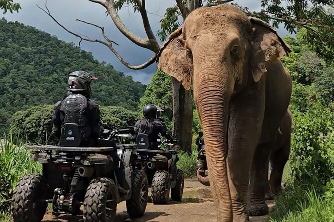 Chiang Mai Sticky Waterfall Tour ATV and Scenic Café - Scenic Mountain Café break: free drink and cake with wide-open views