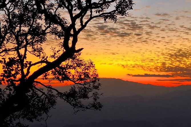 Chiang Mai Sunset Point, Wat Pha Lat, Wat Doi Suthep, Wat Umong - Key things that make this tour worth your time
