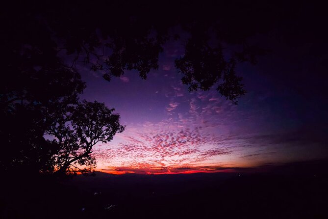 Chiang Mai Sunset Point, Wat Pha Lat, Wat Doi Suthep, Wat Umong - What kind of traveler this tour fits best