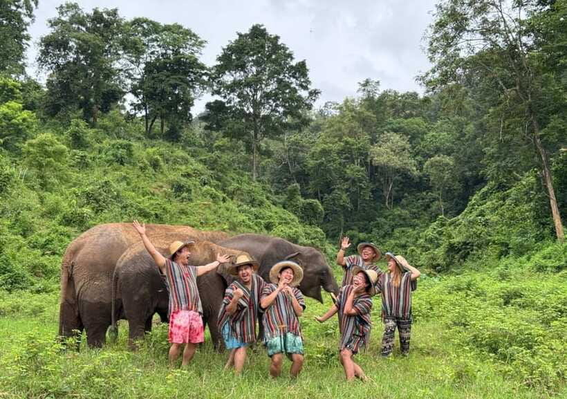 Chiang Mai | TeeTee Elephant Home Elephant Care Half-Day - Lunch in the Mountains: Vegetarian Pad Thai While You Watch