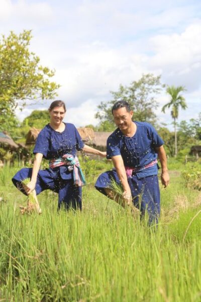Chiang Mai: Thai Buffalo and Rice Planting Experience - How the 150-minute flow keeps you moving (without feeling rushed)