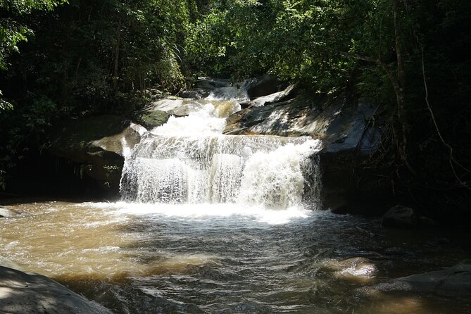Chiang Mai Trekking Tour :Full day (no rafting) - Key takeaways before you go