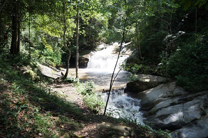 Chiang Mai Trekking Tour :Full day (no rafting) - Elephant Pride Sanctuary and a Doi Inthanon jungle trek: the big picture